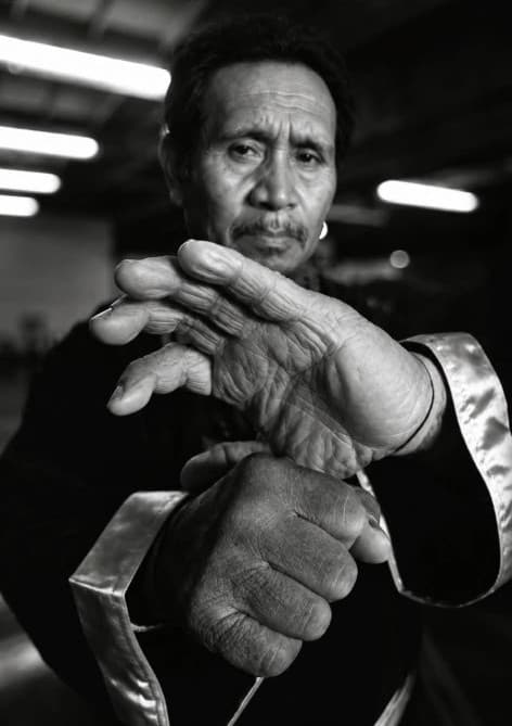 Professor William Kwai-sun Chow en garde, poing et paume au premier plan